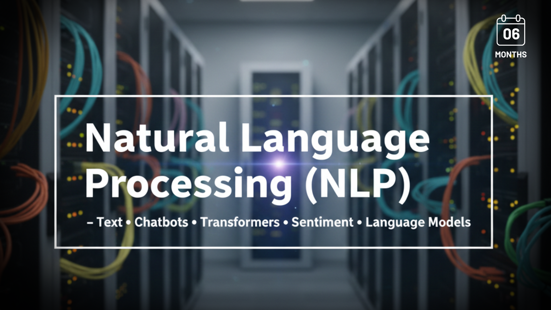 Natural Language Processing (NLP)